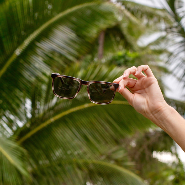 Camp Sunglasses