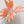 Bird of Paradise Flower Claw Clip - Medium