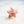 Starfish Hair Eco Friendly  Clip Claw, Mini