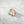 Mini Peach Reef Fish Hair Eco-Friendly  Clip Claw