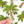 Palm Tree Embroidered Patch – Tropical Patch, Beach Patch