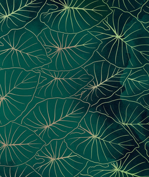 Kalo Pareo - Green: 67 x 43 in