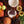 Manoa Chocolate Hawaii Mini Bars