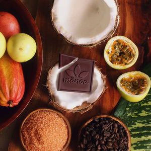 Manoa Chocolate Hawaii Mini Bars