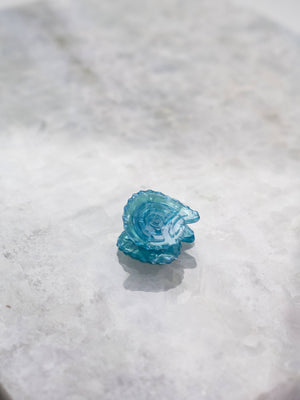 Seashell Hair Eco Friendly  Clips, Mini