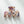 Enchanted Spell S/M - Assorted Claw Clips