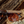 Smokey Bear x CAMP Trail Sunglasses - Matte Tortoise