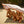 Beach Party Blanket