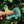 KAUAI ROOSTER STICKER - SMALL