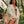 Kailua Blooms Pareo
