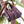 Crown Flower - Organic Mini Bag