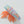 Bird of Paradise Flower Claw Clip - Medium