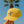 Surfer Hat-Sunset Yellow