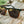 CAMP Ridge Sunglasses - Black/Tortoise