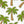 Palm Tree Embroidered Patch – Tropical Patch, Beach Patch