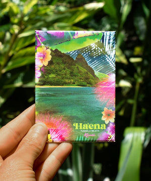 Lauren Taylor Design Magnets