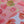 Beach Towel - Anthurium
