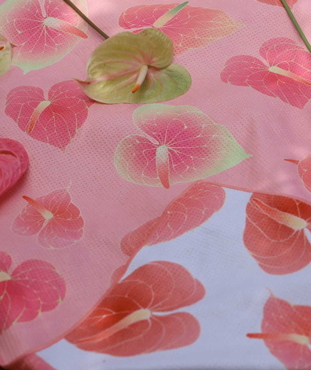 Beach Towel - Anthurium