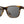 CAMP Trail Sunglasses- Tortoise