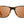 CAMP Trail Sunglasses- Tortoise