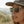 CAMP Cove Sunglasses - Matte Crystal