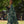 Māmaki Pareo - COMMON GROUND: 74 x 46 in