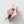 Pink Watermelon Claw Clip - Small