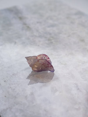 Seashell Hair Eco Friendly  Clips, Mini