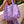 'Opihi Poni - Everyday Bag