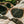 CAMP Cove Sunglasses - Desert