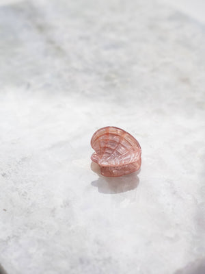 Seashell Hair Eco Friendly  Clips, Mini