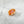 Mini Sunset Reef Fish Eco Friendly  Hair Clip Claw