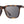 CAMP Ridge Sunglasses - Matte Tortoise