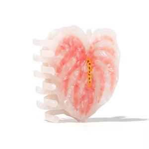 Anthurium Claw Clip