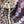 Crown Flower Pareo Sarong