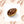 Tiger Cowrie and Clam Jewelry Case 