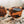 CAMP Cove Sunglasses - Matte Tortoise