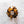 Tortoise Rose Hair Clip Claw