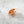Mini Sunset Reef Fish Eco Friendly  Hair Clip Claw