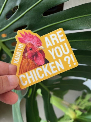 Are you Chicken? Sticker / Kauai Hawaii Rooster