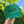 Stoked Trucker Hat