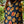 Navy Hau Pareo: 67 x 43 in