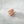 Mini Peach Reef Fish Hair Eco-Friendly  Clip Claw