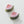 Pink Watermelon Claw Clip - Small