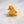 Seahorse Hair Clip Eco-Friendly Claw, Mini