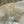 Puka Chain Dangle Earrings
