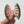 Pink Watermelon Claw Clip - Small
