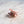 Starfish Hair Eco Friendly  Clip Claw, Mini