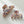Enchanted Spell S/M - Assorted Claw Clips