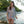 Fringe Beach Swimsuit Cover Up Swimwear Coverup Beach Tunic and Lightweight Layer